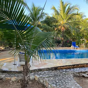 Tortugas Akumal