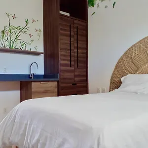 En La Riviera Maya Akumal