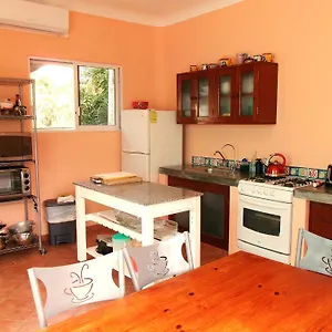 Casa Gatos Akumal